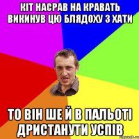 Кіт насрав на кравать викинув цю блядоху з хати то він ше й в пальоті дристанути успів