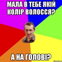 Мала в тебе якій колір волосся? А на голові?