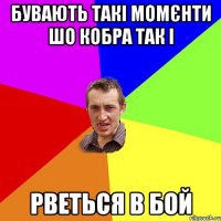 БУВАЮТЬ ТАКІ МОМЄНТИ ШО КОБРА ТАК І РВЕТЬСЯ В БОЙ