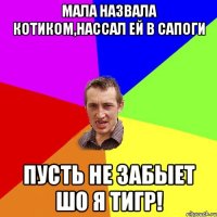 Мала назвала Котиком,нассал ей в сапоги Пусть не забыет шо я Тигр!