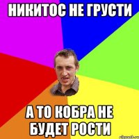 Никитос не грусти а то кобра не будет рости