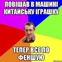 Повішав в машині китайську іграшку тепер все по феншую