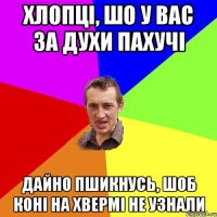 Хлопці, шо у вас за духи пахучі дайно пшикнусь, шоб коні на хвермі не узнали