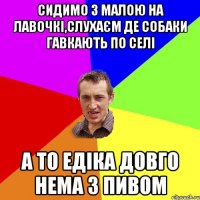 сидимо з малою на лавочкі,слухаєм де собаки гавкають по селі а то Едіка довго нема з пивом