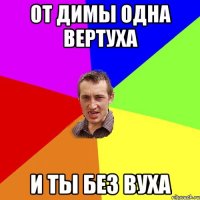 От Димы одна вертуха И ты без вуха