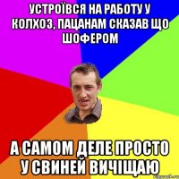 устроЇвся на работу у колхоз, пацанам сказав що шофером А самом деле просто у свиней вичіщаю