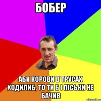 БОБЕР Аби корови в трусах ходилиб, То ти б і піськи не бачив