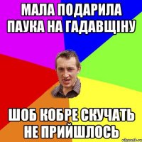 МАЛА ПОДАРИЛА ПАУКА НА ГАДАВЩІНУ ШОБ КОБРЕ СКУЧАТЬ НЕ ПРИЙШЛОСЬ