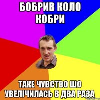 бобрив коло кобри таке чувство шо увелічилась в два раза