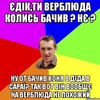 Єдік,ти верблюда колись бачив ? Нє ? Ну от бачив коня в діда в сараї? Так вот він вообщє на верблюда не похожий