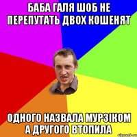 баба галя шоб не перепутать двох кошенят одного назвала мурзіком а другого втопила