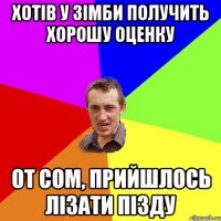 хотів у Зімби получить хорошу оценку от сом, прийшлось лізати пізду