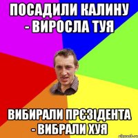 ПОСАДИЛИ КАЛИНУ - ВИРОСЛА ТУЯ ВИБИРАЛИ ПРЄЗІДЕНТА - ВИБРАЛИ ХУЯ