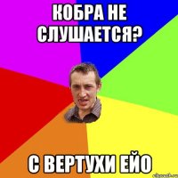 кобра не слушается? с вертухи ейо