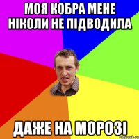 моя кобра мене ніколи не підводила даже на морозі