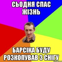 сьодня спас жізнь Барсіка буду розкопував з снігу