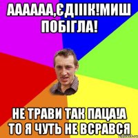 АААААА,ЄДІІІК!МИШ ПОБІГЛА! НЕ ТРАВИ ТАК ПАЦА!А ТО Я ЧУТЬ НЕ ВСРАВСЯ