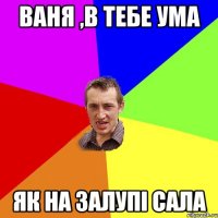 Ваня ,в тебе ума як на залупі сала