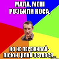 мала, мені розбили носа, но не переживай - пісюн цілий остався...