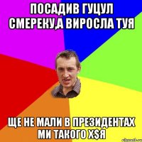 Посадив гуцул смереку,а виросла туя ще не мали в президентах ми такого х$я