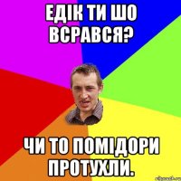 Едік ти шо всрався? чи то помідори протухли.