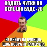 Ходять чутки по селі, що буде -20 Не вийду на вулицю, щоб кобра не замерзла