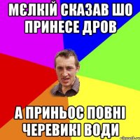 Мєлкій сказав шо принесе дров А приньос повні черевикі води