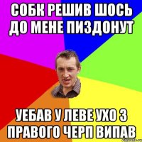 собк решив шось до мене пиздонут уебав у леве ухо з правого черп випав