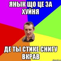 янык що це за хуйня де ты стике снигу вкрав