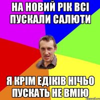 На новий рік всі пускали салюти Я крім едіків нічьо пускать не вмію