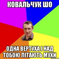 Ковальчук шо одна вертуха і над тобою літають мухи