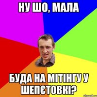 Ну шо, мала буда на мітінгу у Шепєтовкі?