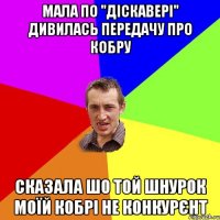 мала по "діскавері" дивилась передачу про кобру сказала шо той шнурок моїй кобрі не конкурєнт