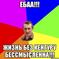 ЕБАА!!! ЖИЗНЬ БЕЗ КЕНГУРУ БЕССМЫСЛЕННА!!!