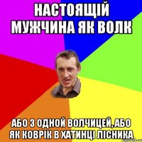 настоящій мужчина як волк або з одной волчицей, або як коврік в хатинці лісника