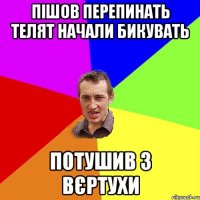 пішов перепинать телят начали бикувать потушив з вєртухи