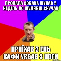 Пропала собака шукав 5 неділь по шулявці,скучав Приїхав з ель кафи уєбав з ноги