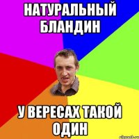 Натуральный бландин У Вересах такой один