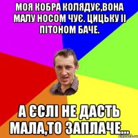 Моя кобра колядує,вона малу носом чує. Цицьку іі пітоном баче. А єслі не дасть мала,то заплаче...