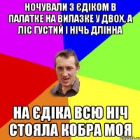 Ночували з Єдіком в палатке на вилазке у двох, а ліс густий і нічь длінна На Єдіка всю ніч стояла кобра моя