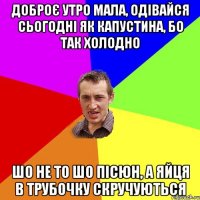 Доброє утро мала, одівайся сьогодні як капустина, бо так холодно шо не то шо пісюн, а яйця в трубочку скручуються