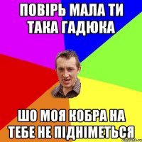 ПОВІРЬ МАЛА ТИ ТАКА ГАДЮКА ШО МОЯ КОБРА НА ТЕБЕ НЕ ПІДНІМЕТЬСЯ