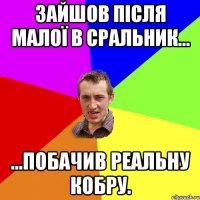 Зайшов після малої в сральник... ...побачив реальну кобру.