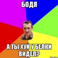 Бодя а ты хуй у белки видел?