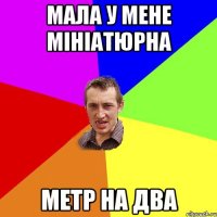 Мала у мене мініатюрна Метр на два