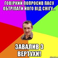 Говіркий попросив пасу обтріпати його від снігу... Завалив з вертухи!