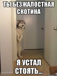 ты безжалостная скотина я устал стоять...