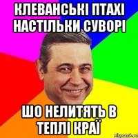 Клеванські птахі настільки суворі Шо нелитять в теплі краї