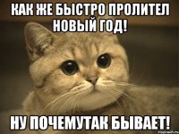 как же быстро пролител новый год! Ну почемутак бывает!