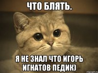 Что блять. Я не знал что Игорь Игнатов педик)